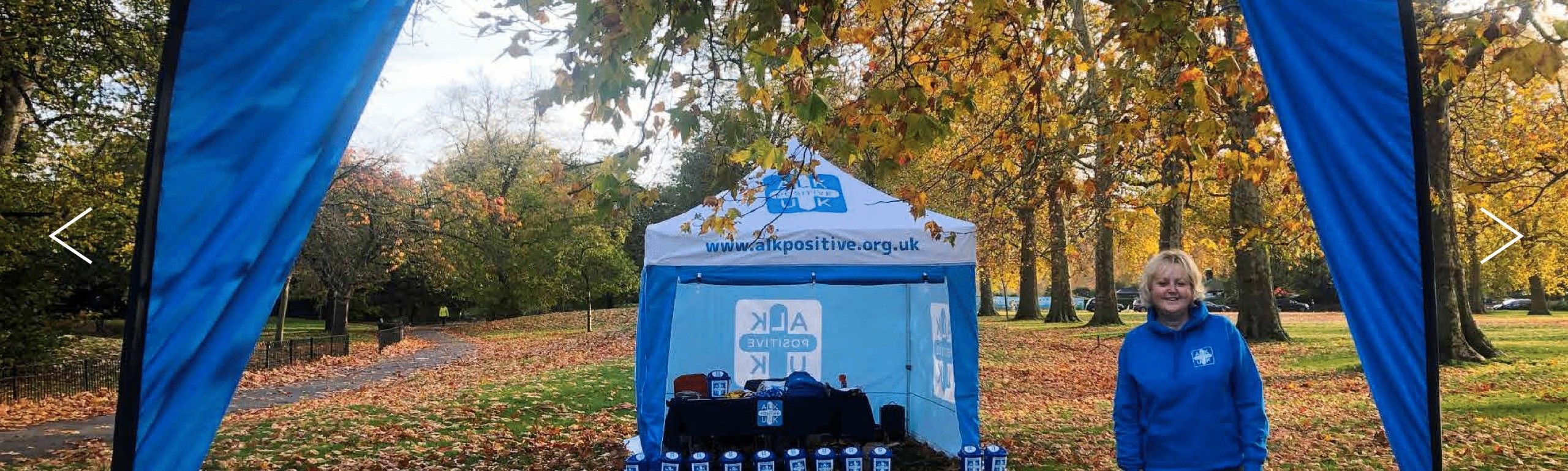 Branded Gazebos Designed by Professionals