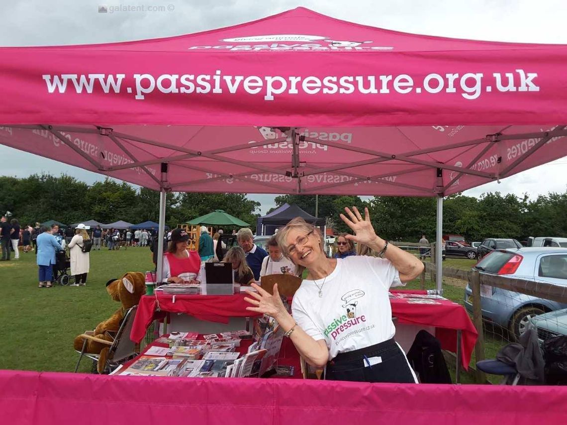 A custom printed business gazebo set up outside