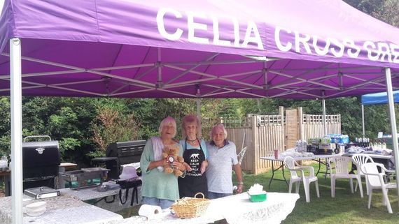 printed purple charity gazebo 3 A custom printed purple gazebo for a charity