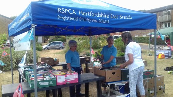 rspca hert east branch1 A custom printed blue gazebo for the RSPCA