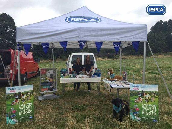 rspca printed gazebo A custom printed white gazebo for the RSPCA