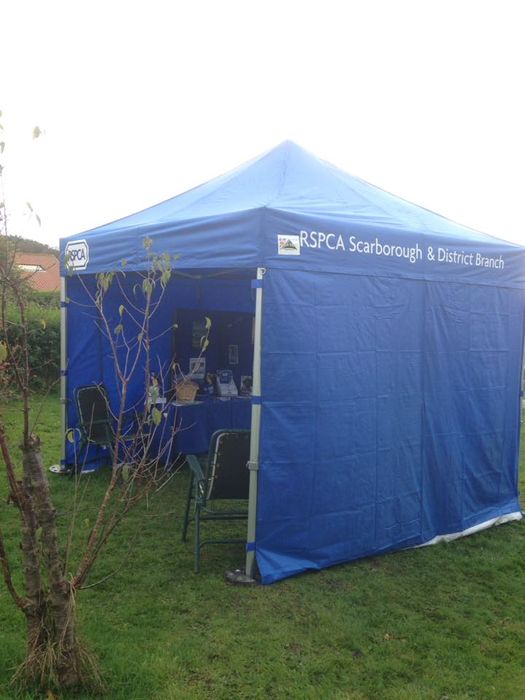 rspca scarbrough district gazebo printed A custom printed blue gazebo for the RSPCA