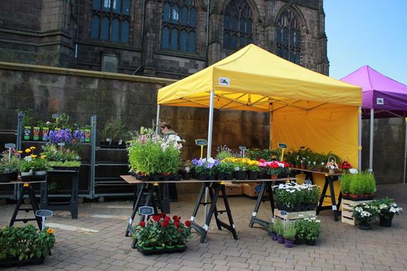 Yellow Gala Shade Gazebos on a market day