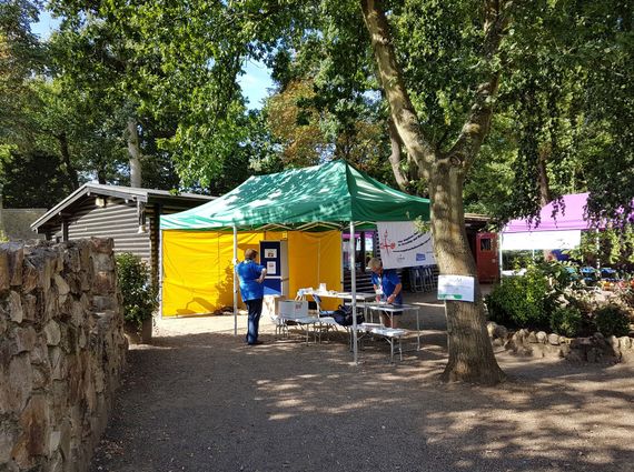 green and yellow scouts info gazebo