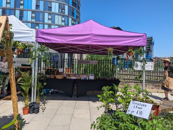 Gala Shade Gazebos with White and Purple canopies at a flower market