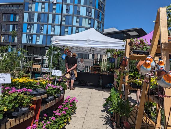 Gala Shade Gazebos with White and Purple canopies at a flower market