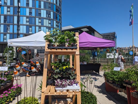Gala Shade Gazebos with White and Purple canopies at a flower market