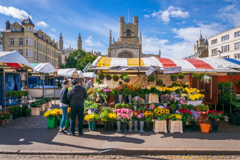 fixed frame flower market stall