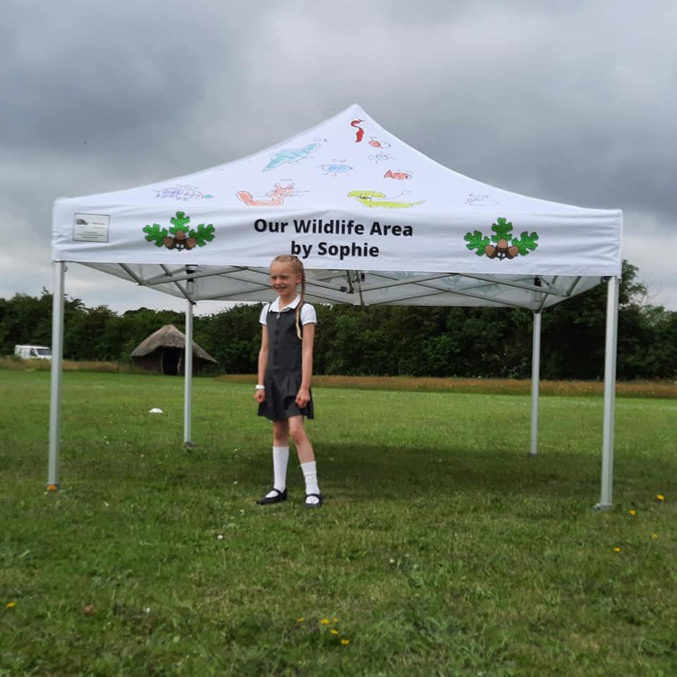 printed school gazebo