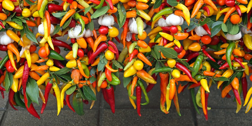 Market stall standing out from the crowd